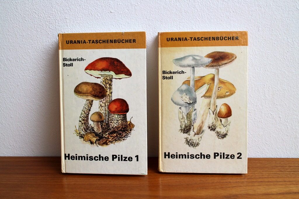70年代ヴィンテージ イラストいっぱいキノコのポケット図鑑2冊セット Frau Vintage